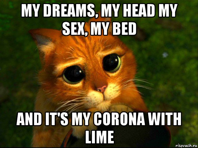 my dreams, my head my sex, my bed and it's my corona with lime, Мем кот из шрека