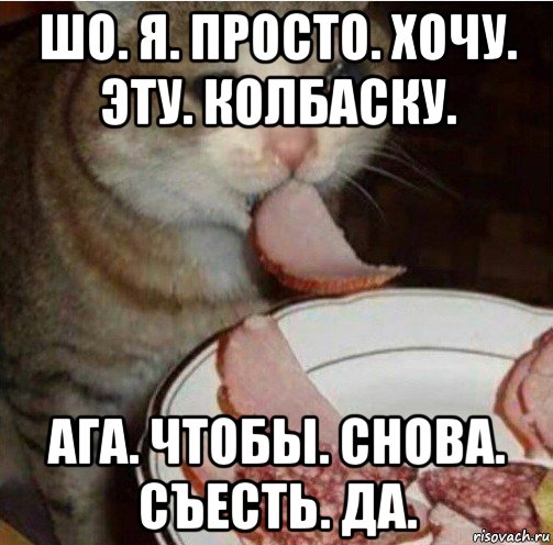 шо. я. просто. хочу. эту. колбаску. ага. чтобы. снова. съесть. да., Мем Кот плачет и ест