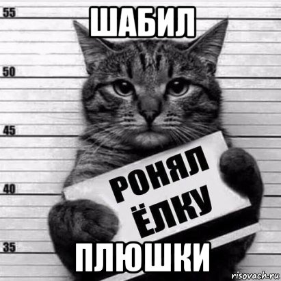 шабил плюшки, Мем Кот рецидив