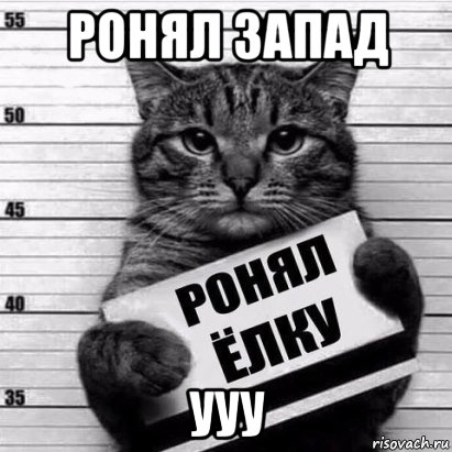 ронял запад ууу, Мем Кот рецидив