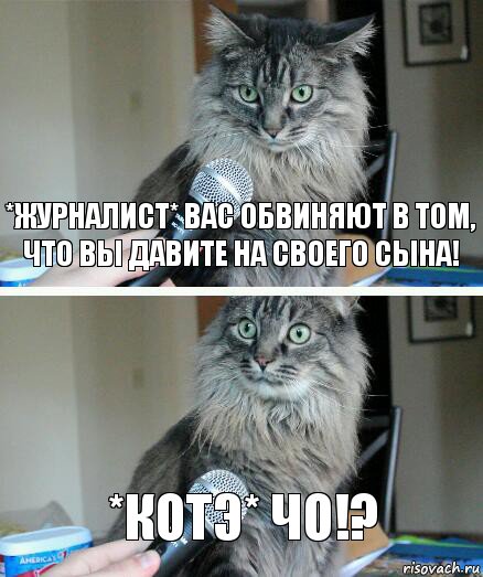 *журналист* вас обвиняют в том, что вы давите на своего сына! *котэ* ЧО!?, Комикс  кот с микрофоном