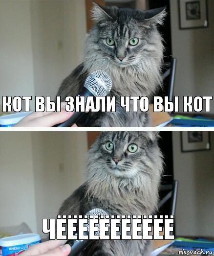 кот вы знали что вы кот чёёёёёёёёёёё, Комикс  кот с микрофоном
