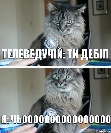Телеведучій: Ти дебіл Я: Чьоооооооооооооооо, Комикс  кот с микрофоном