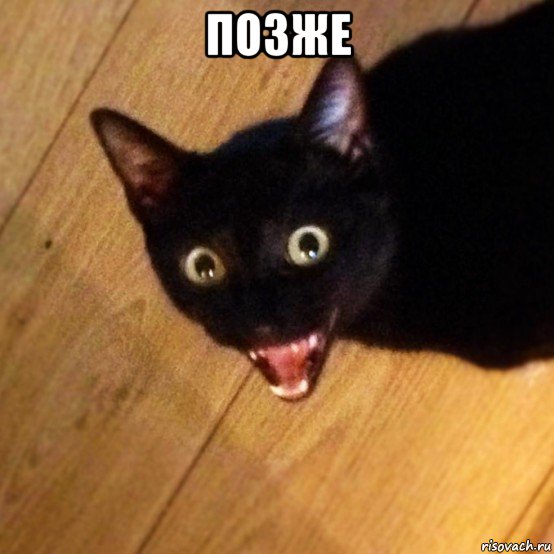 позже , Мем Котэ