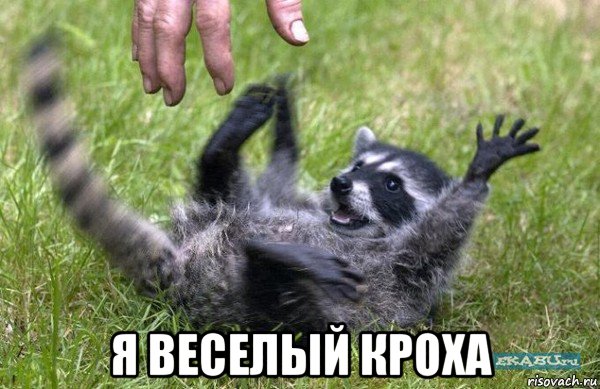  я веселый кроха, Мем Крошка енот улыбается