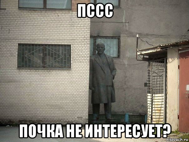 пссс почка не интересует?