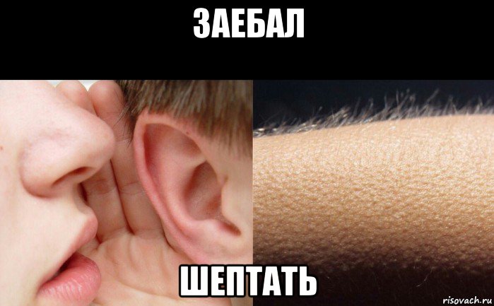 заебал шептать