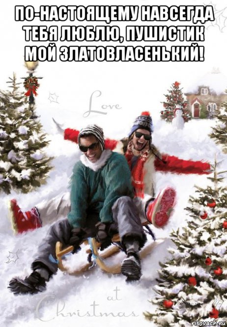 по-настоящему навсегда тебя люблю, пушистик мой златовласенький! , Мем НА САНКАХ