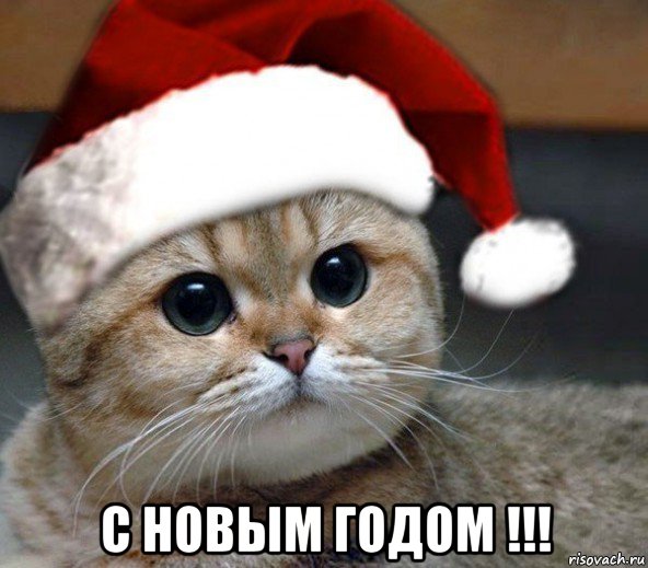  с новым годом !!!