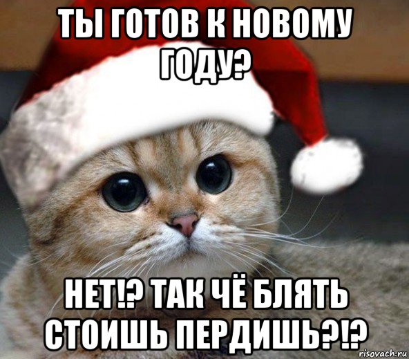 ты готов к новому году? нет!? так чё блять стоишь пердишь?!?