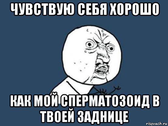 чувствую себя хорошо как мой сперматозоид в твоей заднице, Мем Ну почему