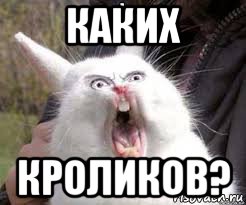 каких кроликов?, Мем Орущий кролик
