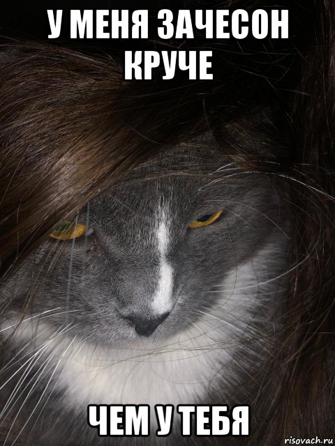 у меня зачесон круче чем у тебя