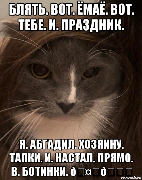 Мем Пашуля