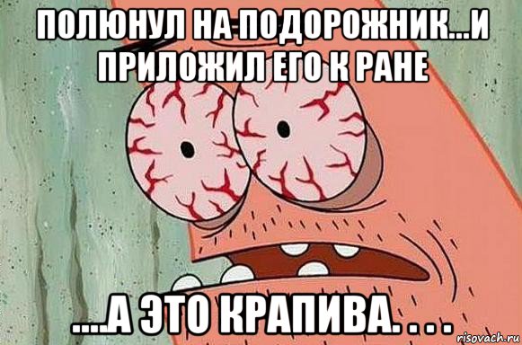 полюнул на подорожник...и приложил его к ране ....а это крапива. . . ., Мем  Патрик в ужасе