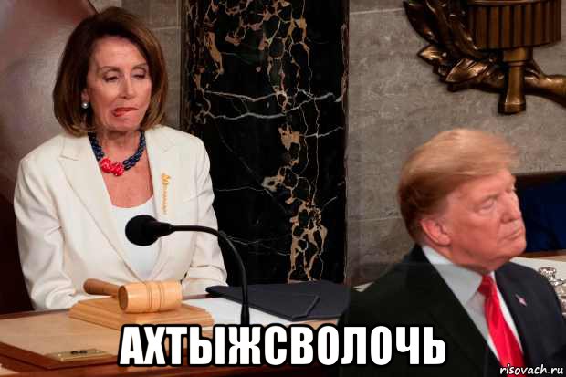  ахтыжсволочь, Мем Pelosi