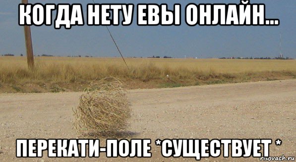 когда нету евы онлайн... перекати-поле *существует *, Мем перекати-поле одиночество