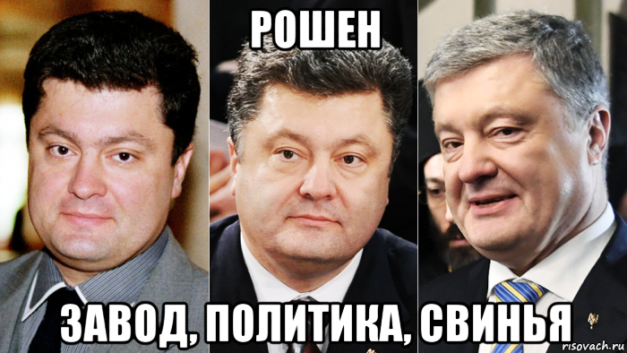 рошен завод, политика, свинья, Мем Петр Порошенко