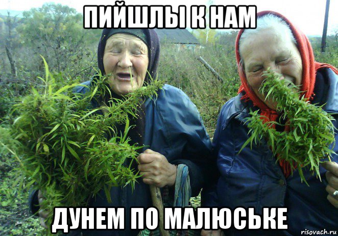 пийшлы к нам дунем по малюське, Мем Петровна