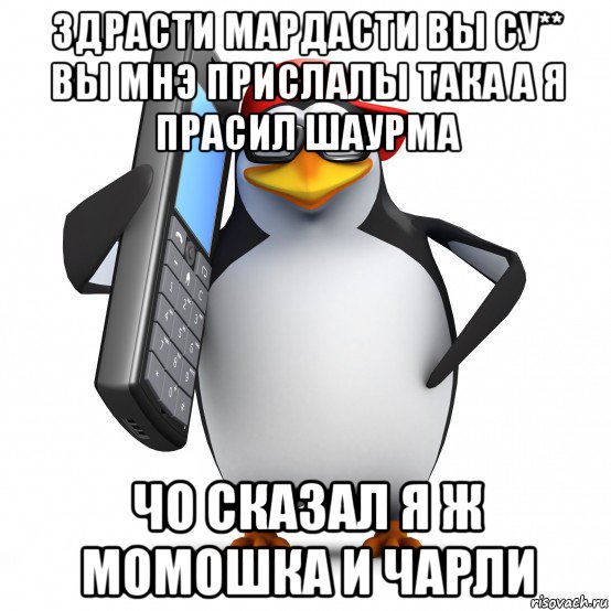 здрасти мардасти вы су** вы мнэ прислалы така а я прасил шаурма чо сказал я ж момошка и чарли, Мем   Пингвин звонит