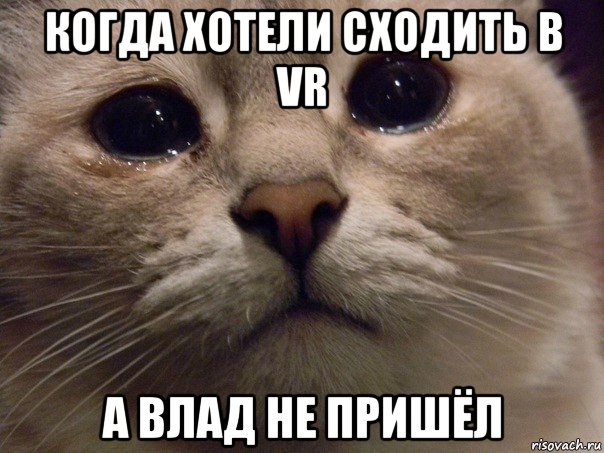 когда хотели сходить в vr а влад не пришёл, Мем Плачущий кот