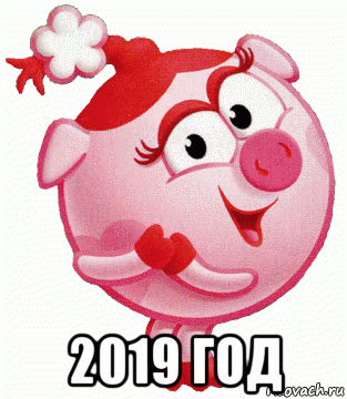  2019 год, Мем Подлая Свинья