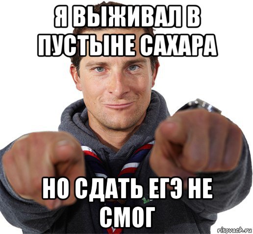 я выживал в пустыне сахара но сдать егэ не смог, Мем прикол