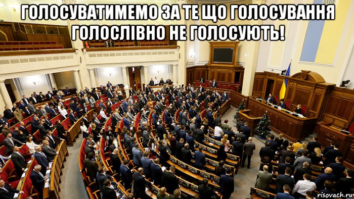 голосуватимемо за те що голосування голослівно не голосують! , Мем Рада рада