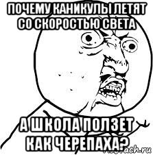 почему каникулы летят со скоростью света а школа ползет как черепаха?, Мем рисунки