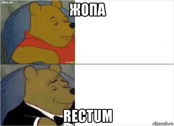жопа rectum