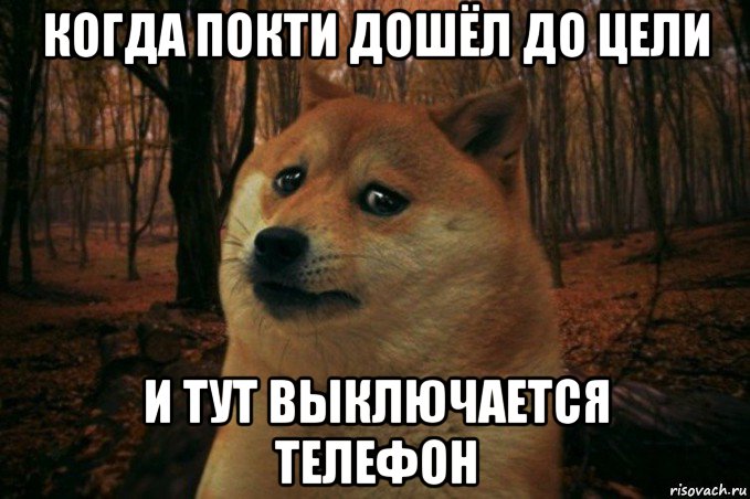 когда покти дошёл до цели и тут выключается телефон, Мем SAD DOGE