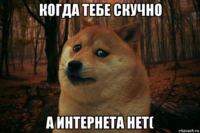 когда тебе скучно а интернета нет(, Мем SAD DOGE