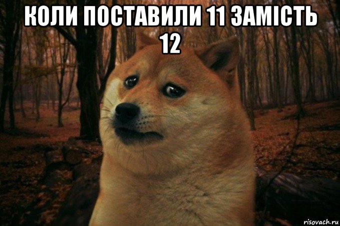 коли поставили 11 замість 12 , Мем SAD DOGE