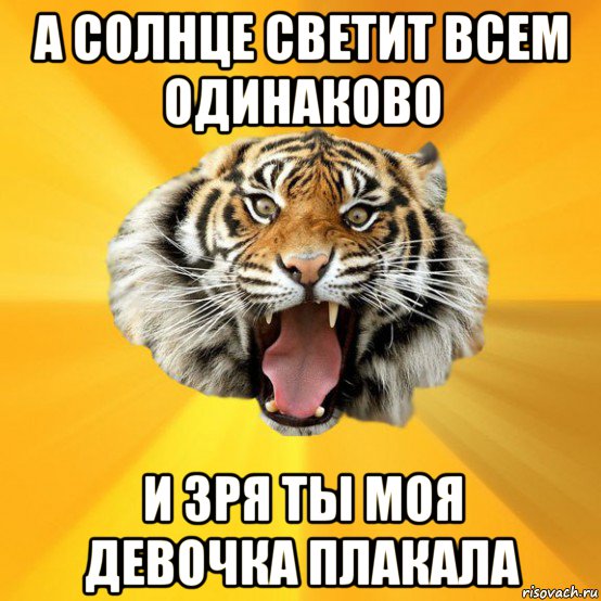 а солнце светит всем одинаково и зря ты моя девочка плакала, Мем СУМАСШЕДШИЙ ТИГР