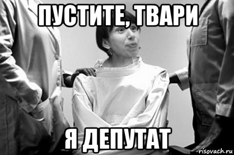 пустите, твари я депутат, Мем Тетяна Чорновіл