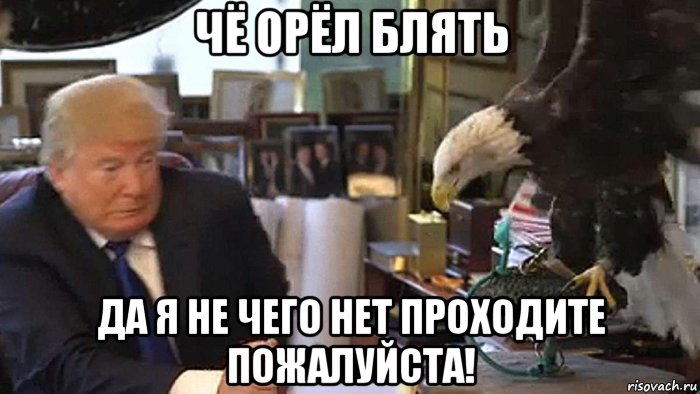 чё орёл блять да я не чего нет проходите пожалуйста!, Мем Трамп и орёл