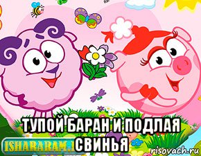  тупой баран и подлая свинья, Мем Тупой Баран и Подлая Свинья