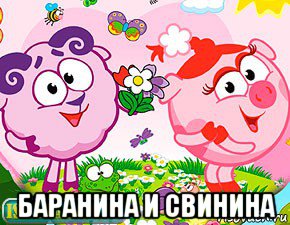  баранина и свинина, Мем Тупой Баран и Подлая Свинья
