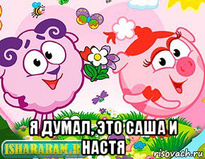  я думал, это саша и настя, Мем Тупой Баран и Подлая Свинья