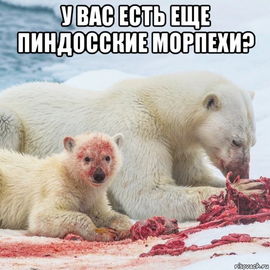 у вас есть еще пиндосские морпехи? , Мем У вас есть еще
