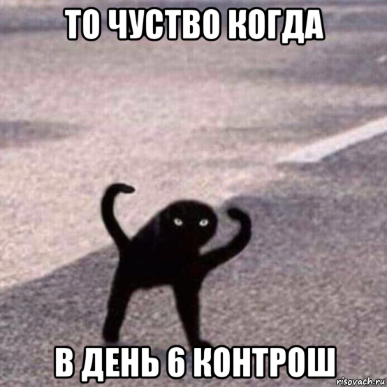 то чуство когда в день 6 контрош