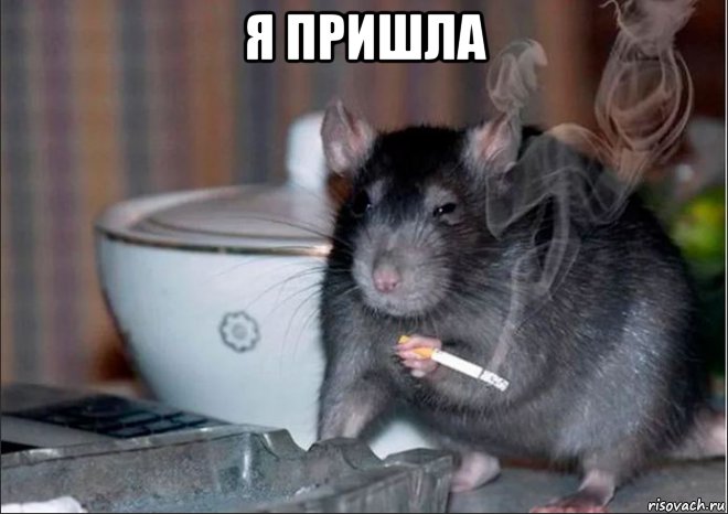 я пришла , Мем В