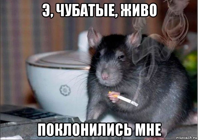 э, чубатые, живо поклонились мне, Мем В