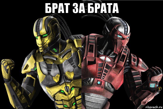 брат за брата , Мем vkcomsnegiryata