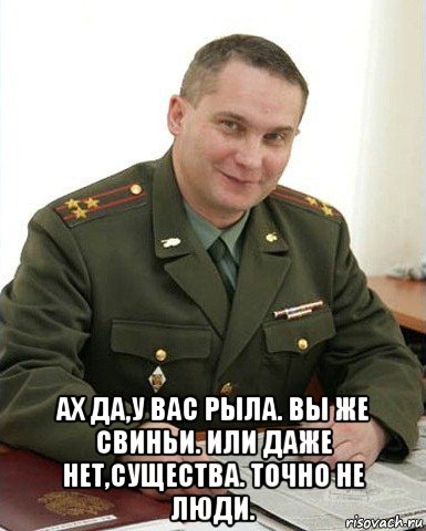  ах да,у вас рыла. вы же свиньи. или даже нет,существа. точно не люди., Мем Военком (полковник)