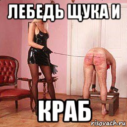 лебедь щука и краб