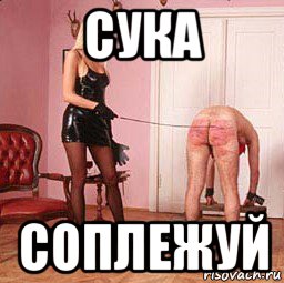 сука соплежуй
