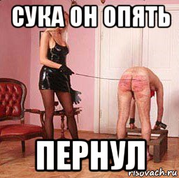 сука он опять пернул