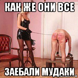 как же они все заебали мудаки