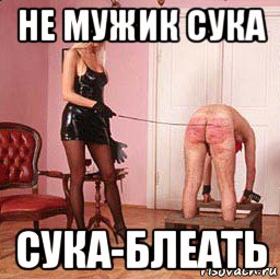 не мужик сука сука-блеать